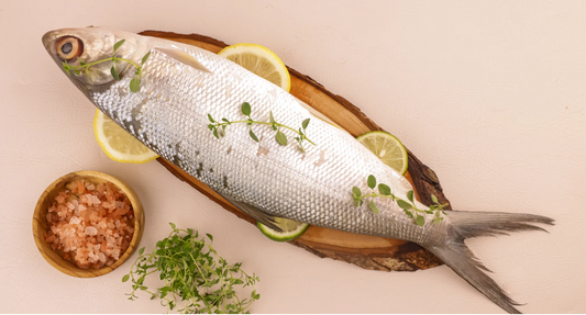 The Health Benefits of Milkfish (Bangus)