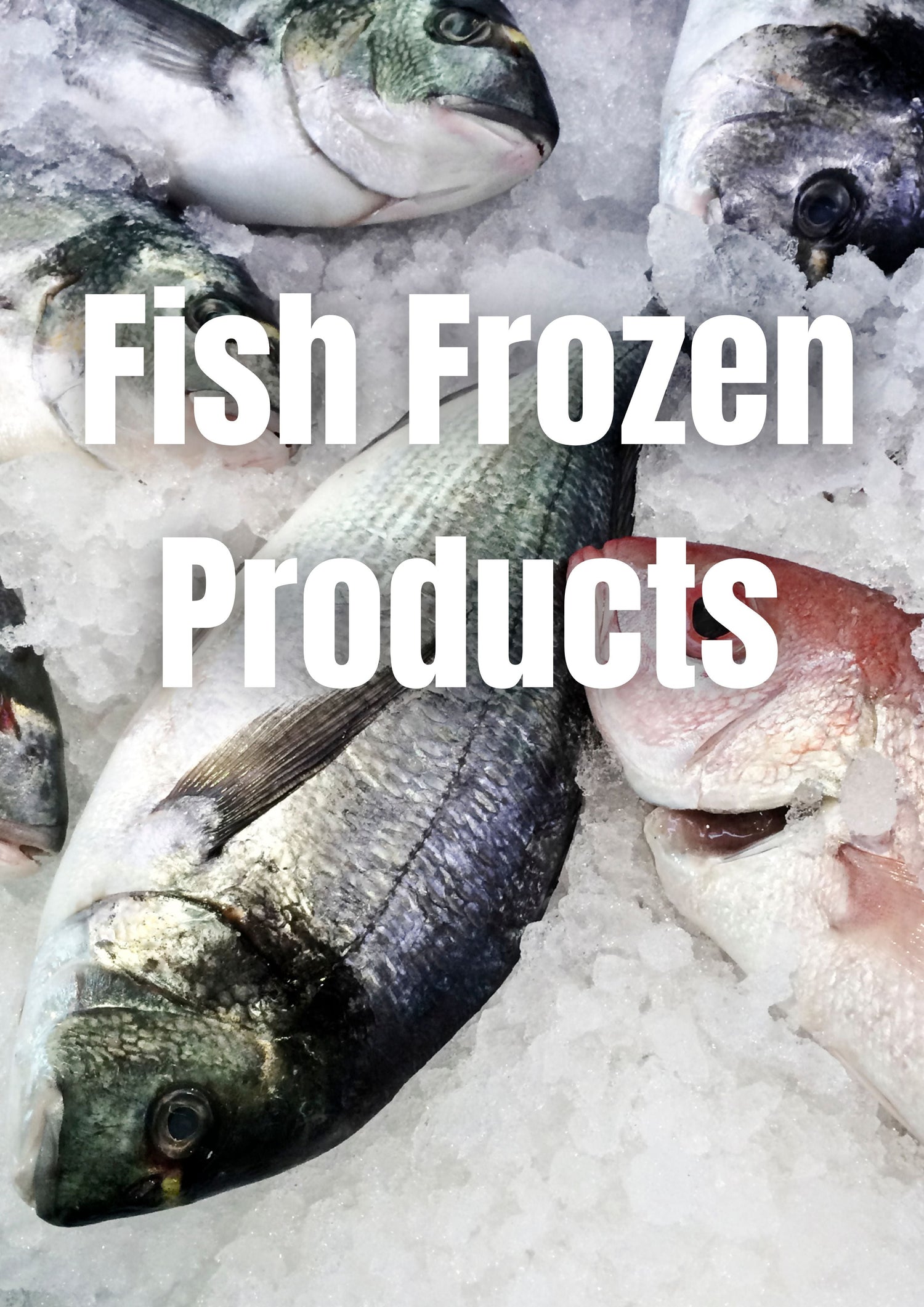 Fish Frozen Products